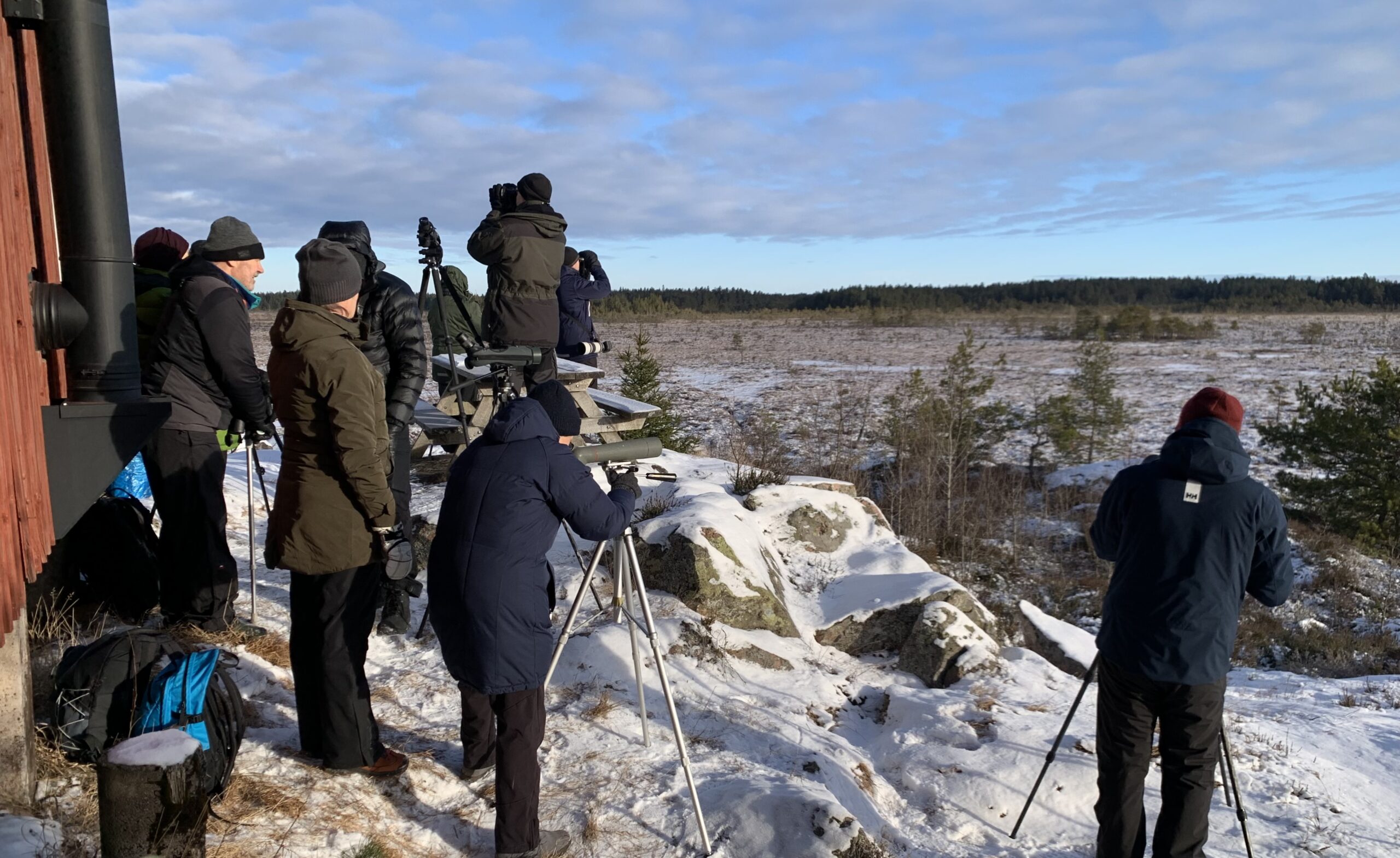 Örnskådning Kärnskogsmossen 16 februari